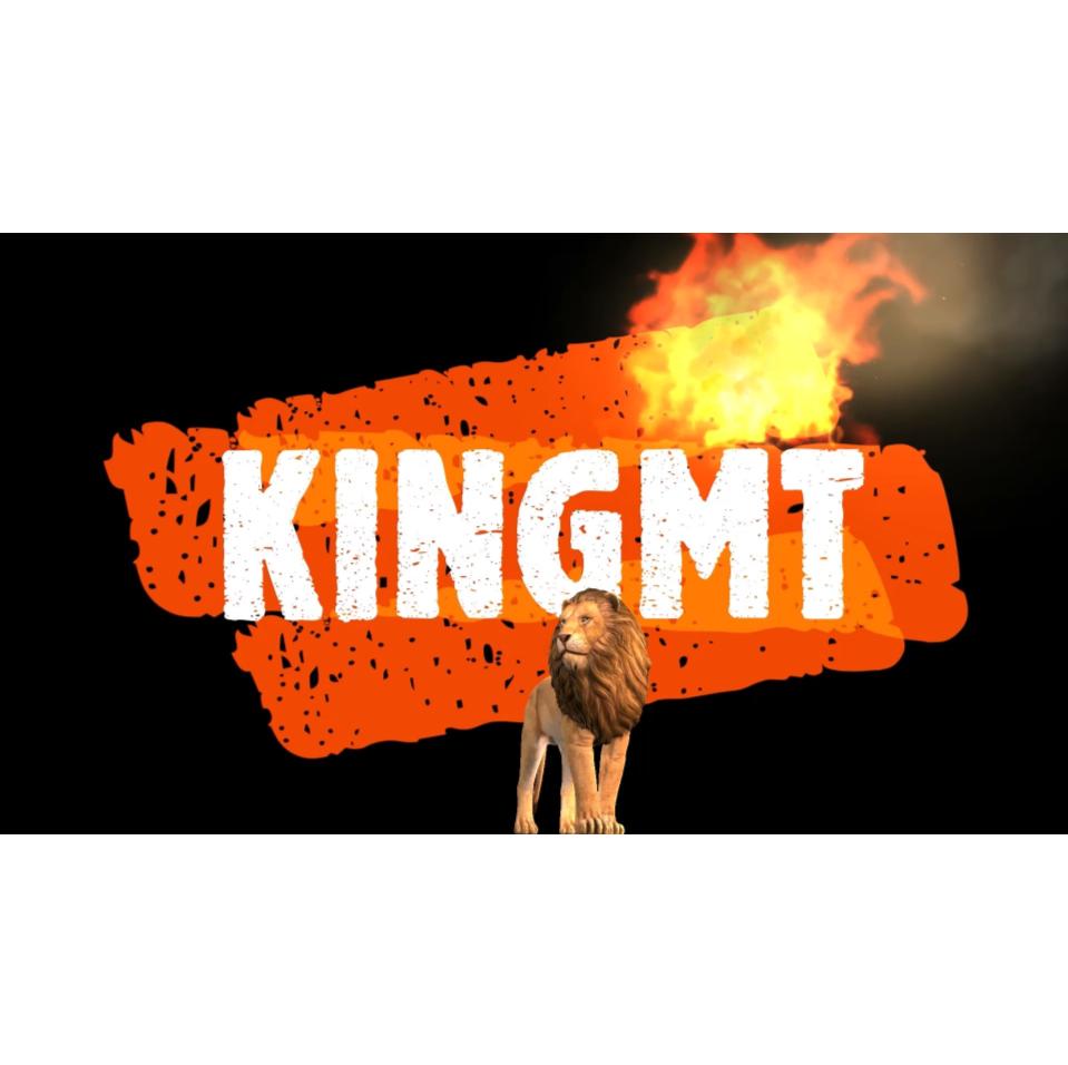 KingMT TürkischTrapLove