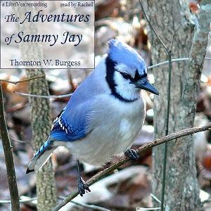 The Adventures of Sammy Jay, #7 - Chatterer Works Hard