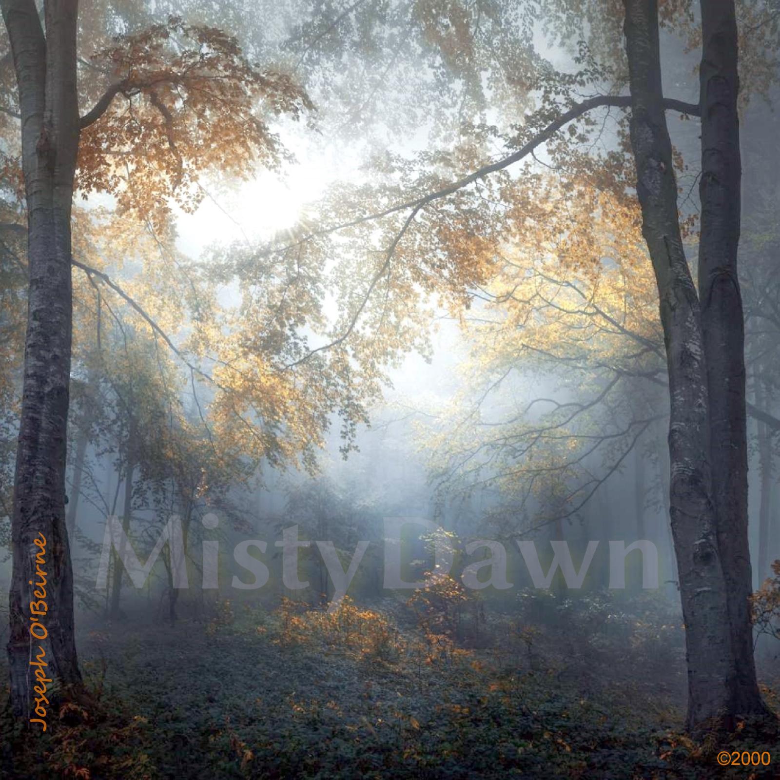 MistyDawn