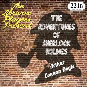 The Adventures of Sherlock Holmes (Version 6 dramatic reading), #3 - Story 3: A Case of Identity