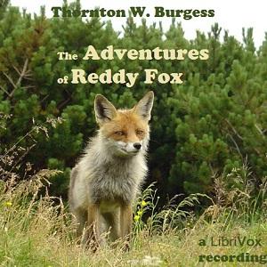 The Adventures of Reddy Fox (version 2), #1 - Granny Fox Gives Reddy a Scare