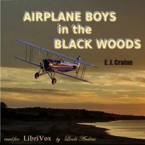Airplane Boys in the Black Woods, #4 - Ghosts