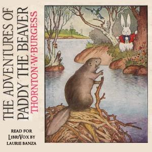 The Adventures of Paddy the Beaver (Version 2), #3 - Paddy Has Many Visitors