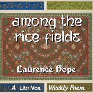 Among the Rice Fields, #1 - Among the Rice Fields - Read by AG