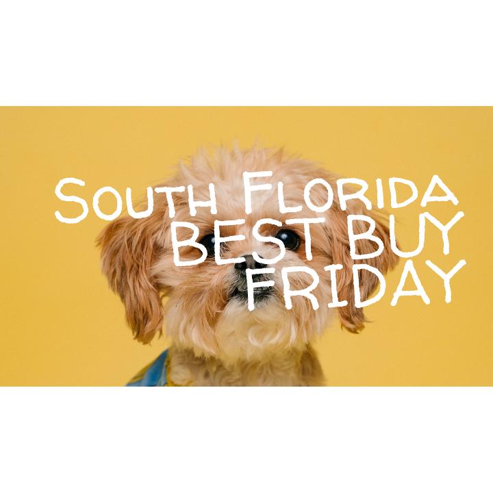 South Florida Best Buy Friday