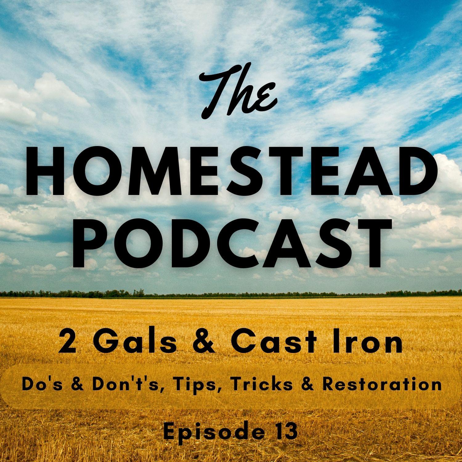 Ep. 13 - Do's & Don't's, Tips, Tricks & Restoration of Cast Iron Cookware - 2 Gals & Cast Iron