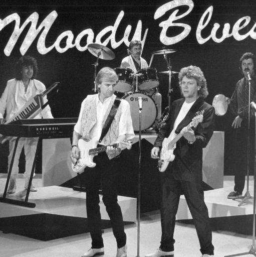 313. Your Wildest Dreams ~ The Moody Blues (cover)