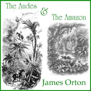 The Andes and The Amazon, #16 - 15 Chapter XIV