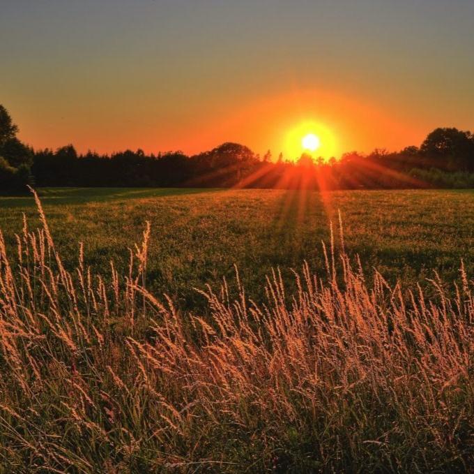 Summer Solstice - 5.2Hz 10.4 Hz