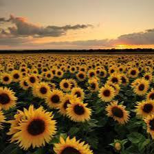 Summer.