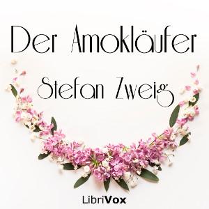 Der Amokläufer, #6 - Abschnitt 6