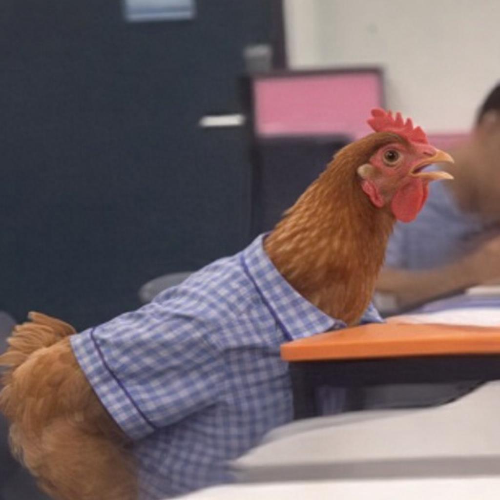 Download Chinese warrior 2 by Daniel | Listen MP3 & WAV for FREE on ...