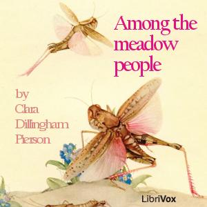 Among the Meadow People, #27 - The Frog Who Thought Herself Sick