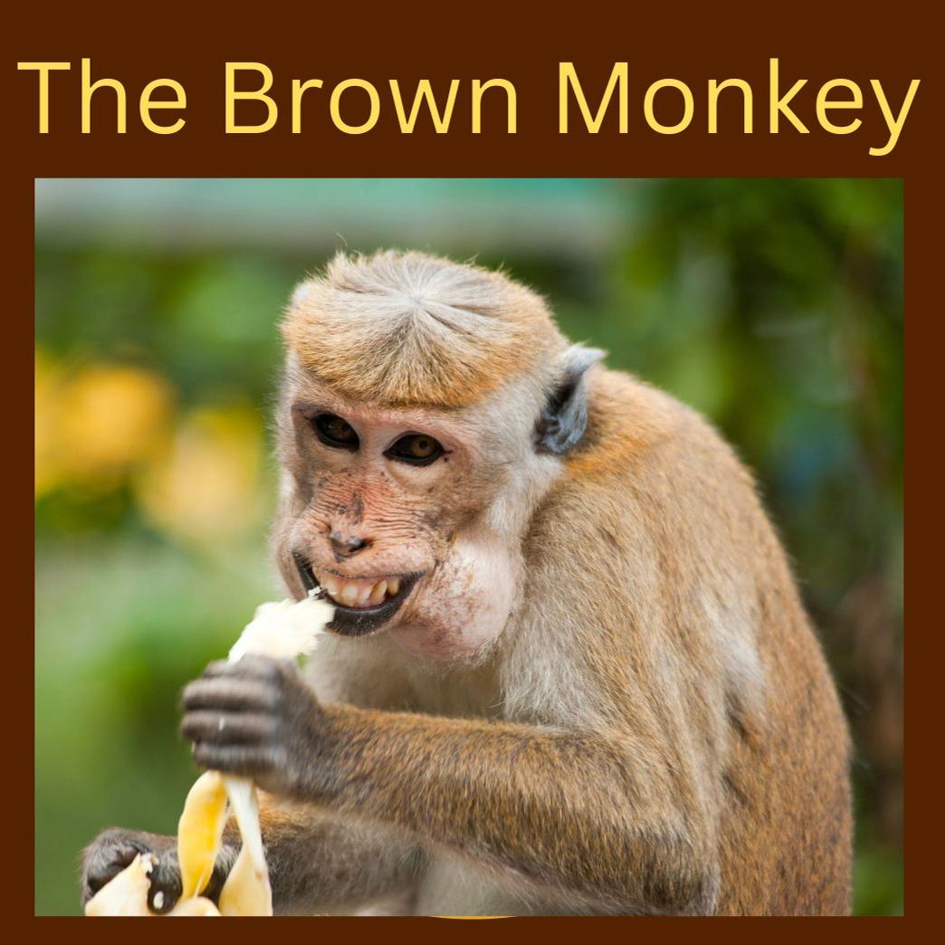 Children's Story- The Brown Monkey