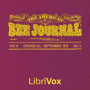 The American Bee Journal, Vol. VI. No. 3, Sept 1870, #20 - More about the Looking-glass