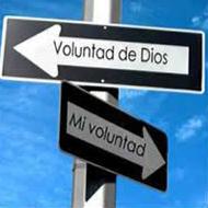 Hasta que el dia sea perfecto - Escarbando en la voluntad de Dios