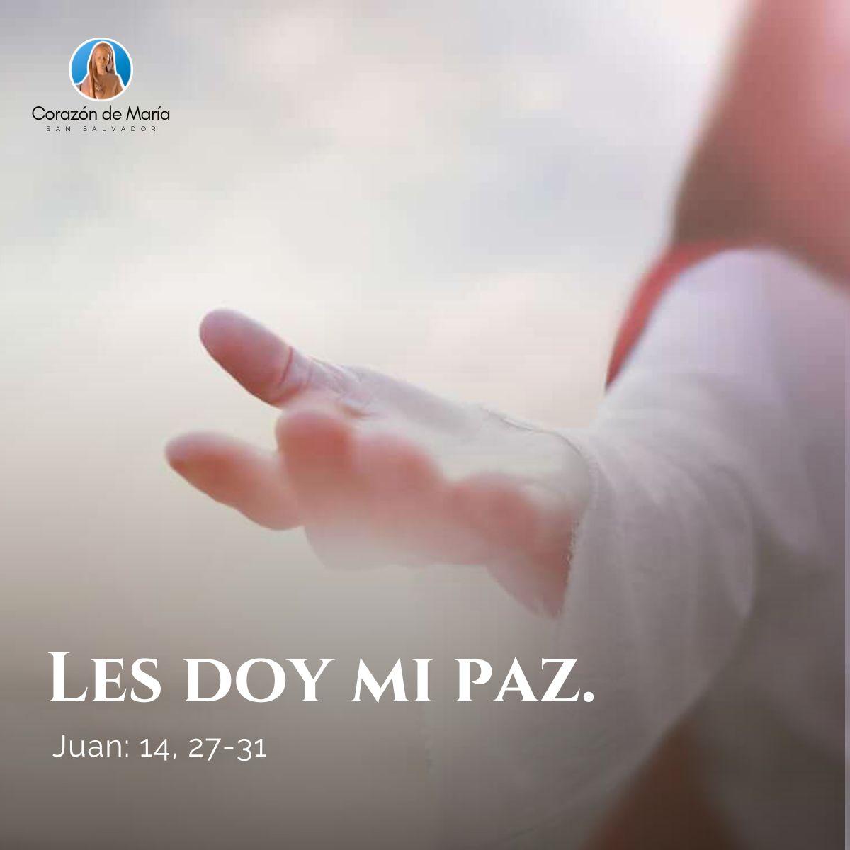 Evangelio del 09-05-2023