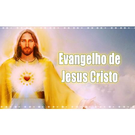 Evangelho de Jesus Cristo segundo João 16,12-15 (17/05/2023)