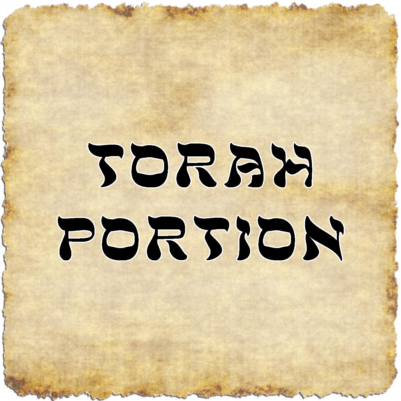 Torah Portion for 05/27/2023