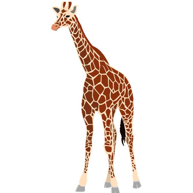 La giraffa (Beppe)