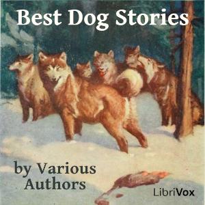 Best Dog Stories, #13 - The Lost Dog, by Mary E. Wilkins Freeman