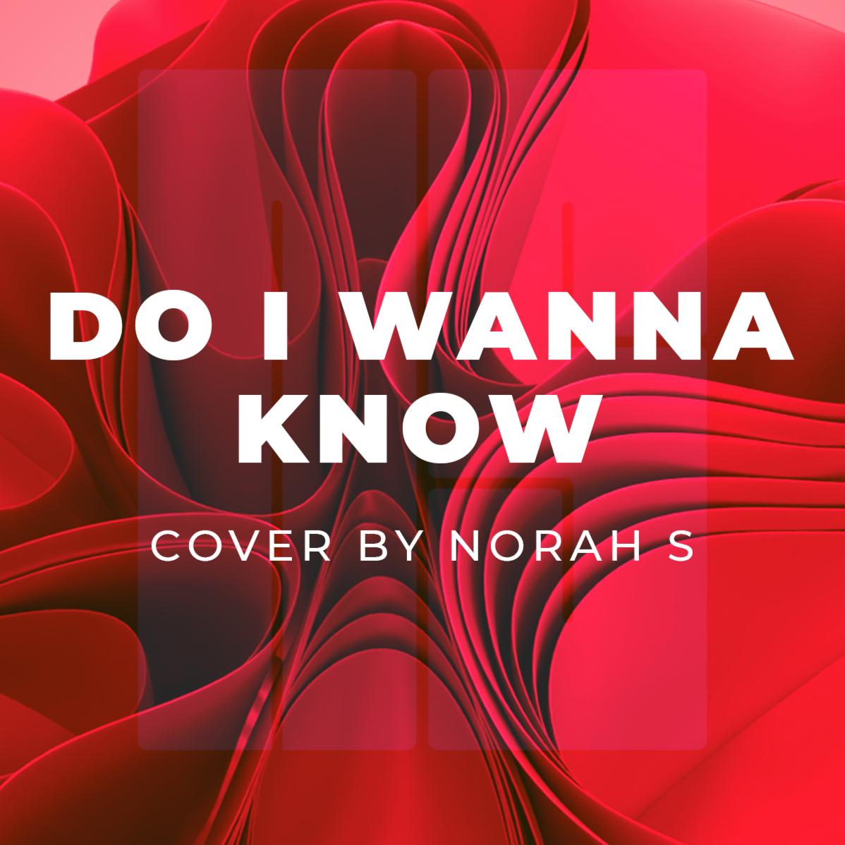 Do I wanna know - short cover by Norah