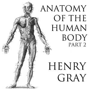 Anatomy of the Human Body, Part 2 (Gray's Anatomy)