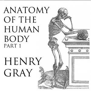 Anatomy of the Human Body, Part 1 (Gray's Anatomy)