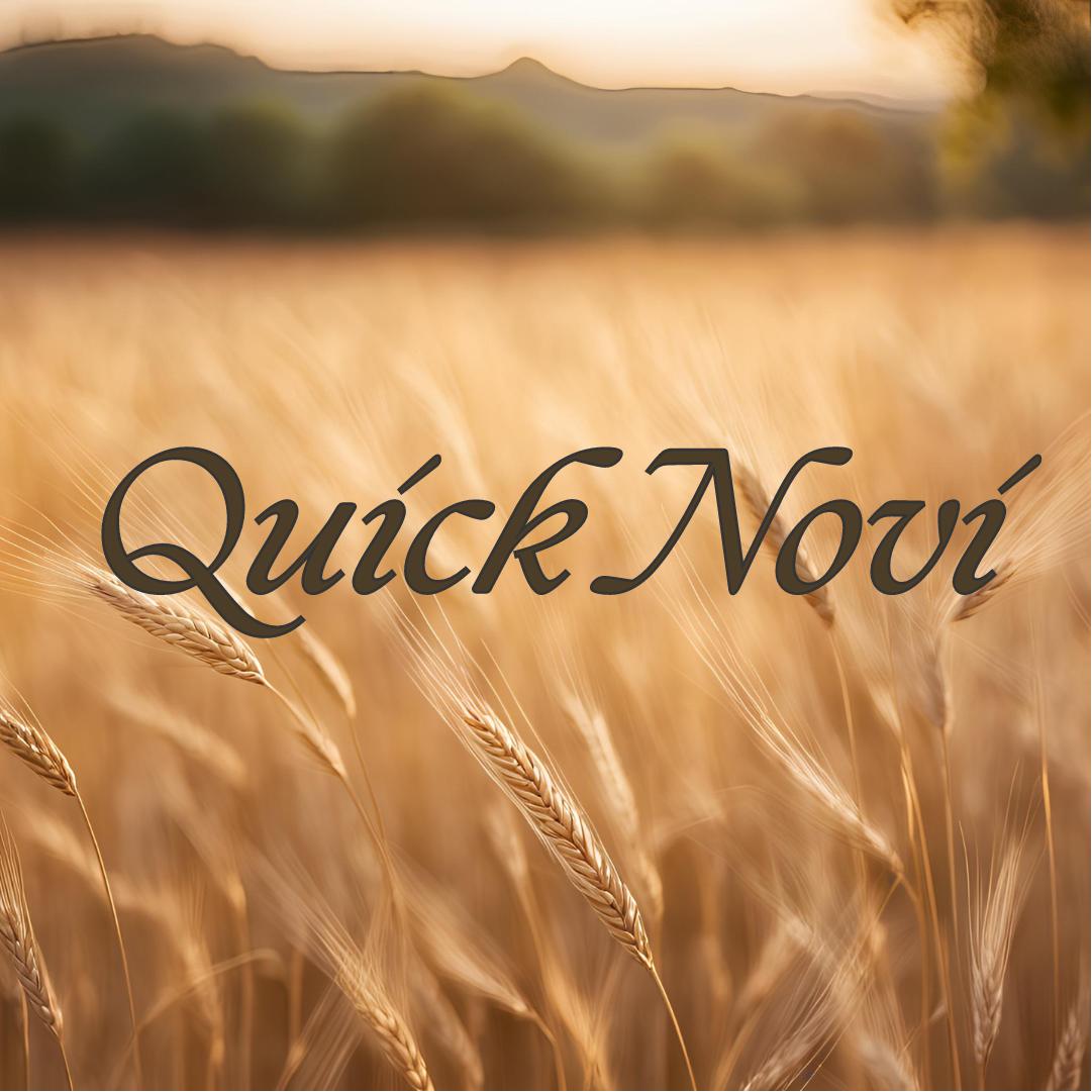 Quick Novi audio | Listen on audio.com