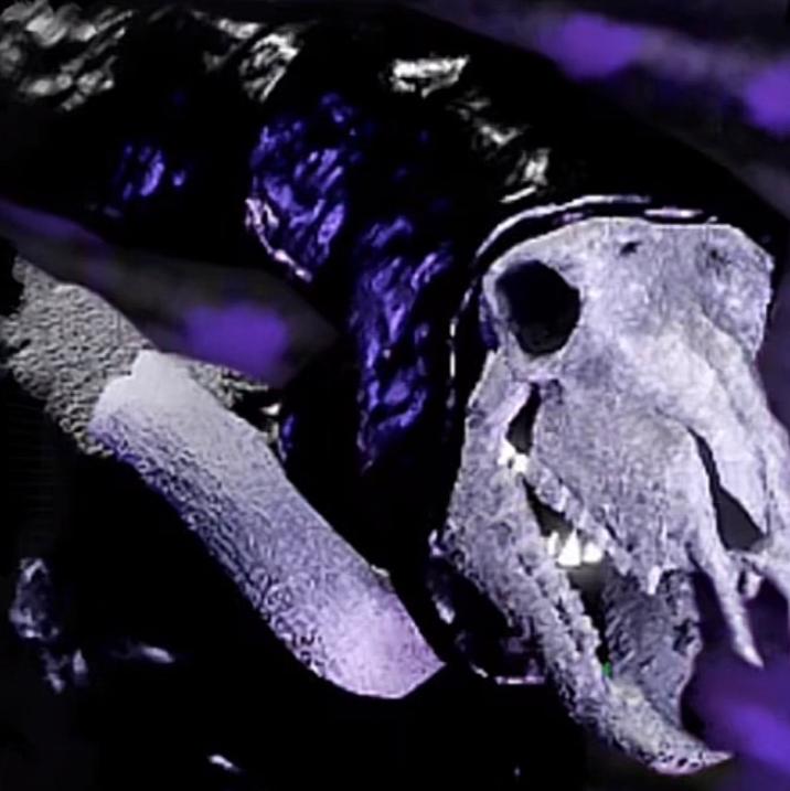 Download liminar (Super Slowed) by Highlandsabovemason21 | Listen MP3 ...